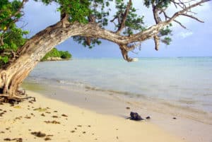 dommage-ouvrage-guadeloupe-300x201 Assurance dommage ouvrage Guadeloupe dommage-ouvrage-guadeloupe-300x201 Assurance dommage ouvrage Guadeloupe